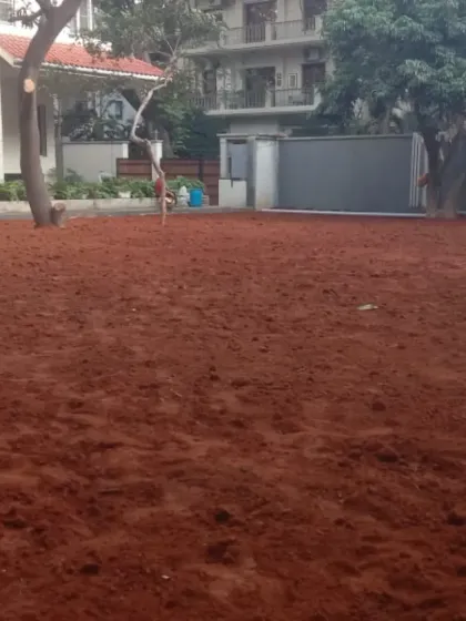 The first and most important step of any great garden: soil preparation. Here, a large area is being covered with enriched red soil before any planting or lawn installation begins.