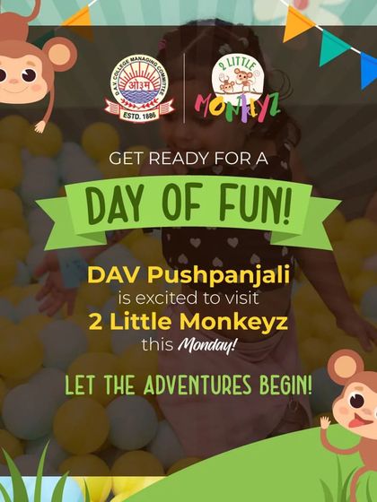 School Picnics & Group Fun photo 5