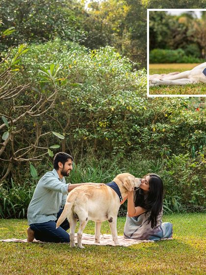 A collage showing a couple sharing a sweet kiss with their senior Labrador, Spike, during his 10th birthday celebration in a lush green park.