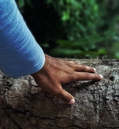 Touching the bark of a tree, feeling its texture and life. It is important to connect with the elements daily to stay grounded and aware of the fundamental reality of our existence.