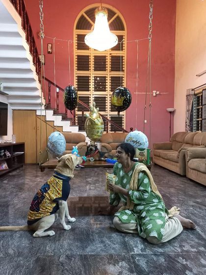 K9 Gurukul - Dog Boarding & Daycare Birthday Paw-ties & Celebrations photo 4