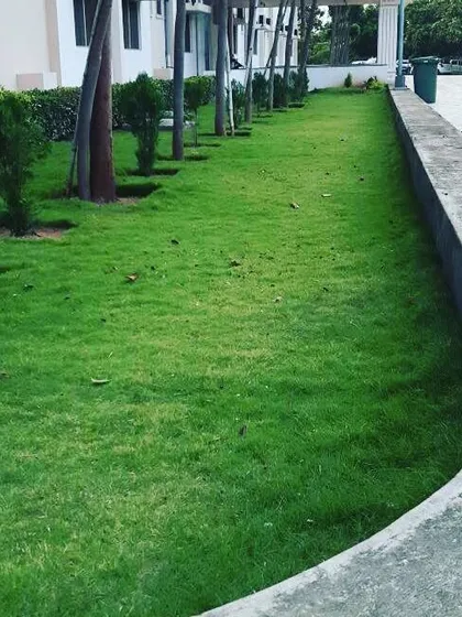 We also handle lawn installation for commercial properties. This picture shows a neat strip of lawn we laid next to a parking area, making the entrance look much more green and welcoming.
