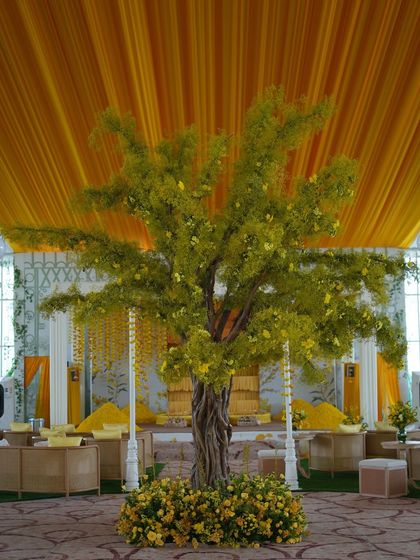 Vibrant Haldi & Mehendi Functions photo 3