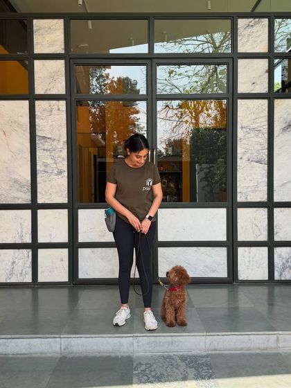 Theo practicing his 'sit' and 'stay'. Even at a young age, puppies can learn focus and impulse control.