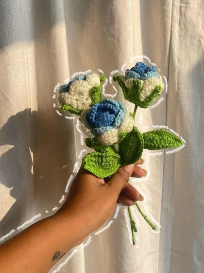 An annotated photo of the unwrapped blue and white roses, held in hand.