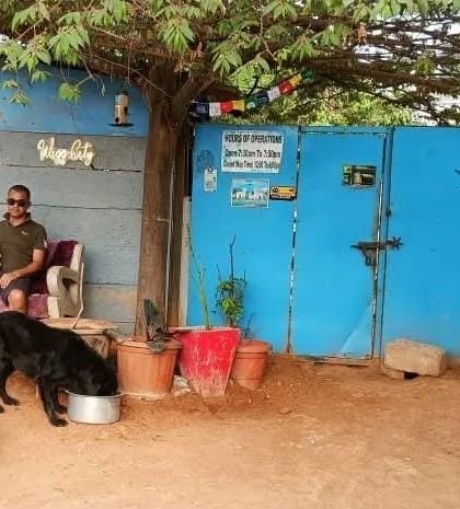 Wagg City - Cage-Free Dog Boarding & Daycare The Freedom Yard: Outdoor Play & Exploration photo 6