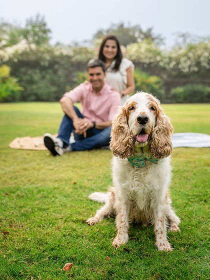 A beautiful outdoor portrait with Chase the cocker spaniel in the foreground and his parents sitting lovingly in the background. This composition highlights the pet as the star of the family.