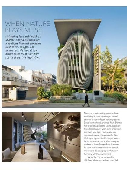 This article highlights how nature served as the ultimate muse for the studio's design. It explains the concept of the tree-like structure and how every element, from the materials to the form, was chosen to create a harmonious and inspiring environment.