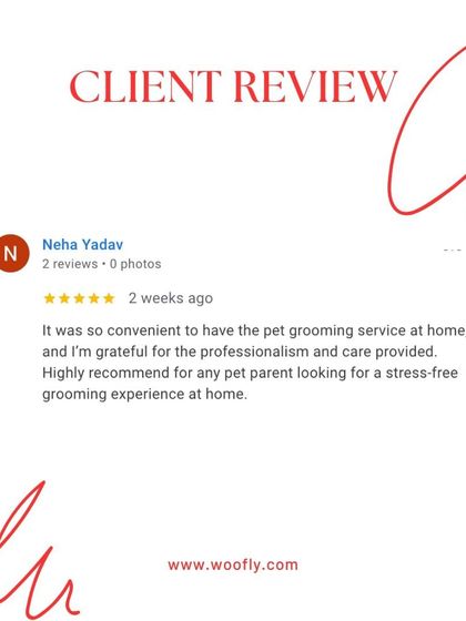 Woofly - At-Home Pet Grooming What Pet Parents Are Saying photo 5