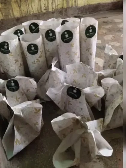I handle bulk and corporate orders for events or office gifting. Here’s a batch of plants, each individually wrapped and ready for distribution, making for a memorable and sustainable gift.