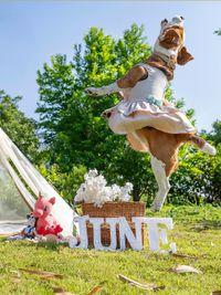 Pet Milestone Photography