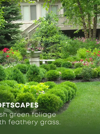 Softscaping is the living part of our designs. This image shows a beautiful example of well-planned softscapes, with manicured spherical shrubs and layered foliage creating a lush, green, and deeply textured garden bed.