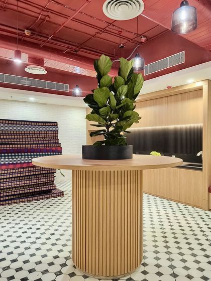 A Fiddle Leaf Fig in a simple black pot stands on a modern wooden table. This single plant acts as a beautiful, sculptural centerpiece in this stylish breakout area with a bold red ceiling.