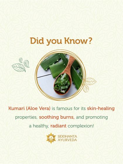Siddhanta Ayurveda - Skin & Hair Care The Power of Ayurvedic Herbs photo 11
