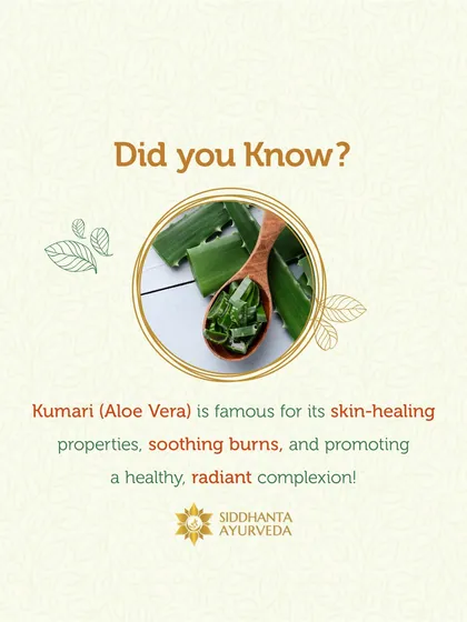 Kumari, or Aloe Vera, is famous for its skin-healing abilities. It is particularly effective at soothing burns, reducing inflammation, and promoting a hydrated, healthy, and radiant complexion.