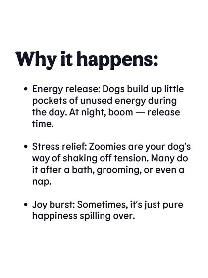 Here's why zoomies happen. It's a combination of releasing pent-up energy, shaking off stress, or sometimes just a pure burst of joy. It's a natural part of being a dog.