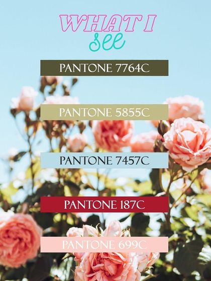 A simple exercise in seeing the world like a designer. This post shows how to extract a complete color palette from a simple photograph of flowers, a technique I teach for finding inspiration anywhere.