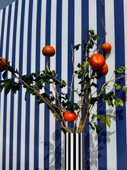 The Making Of Magic photo 6