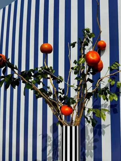 A minimalist yet impactful decor detail. A striped vase holds branches of pomegranates, creating a beautiful silhouette against the bold blue-and-white striped wall.