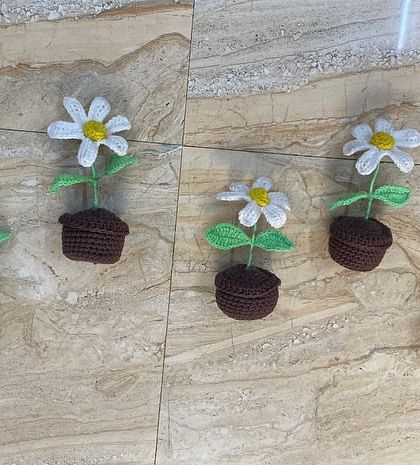 Bulk Orders for Events photo 4