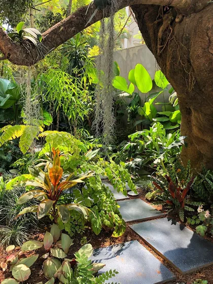 There's nothing like the magic of afternoon light filtering through foliage. We design paths and clearings that invite you to walk through and experience your garden, creating moments of peace and discovery.