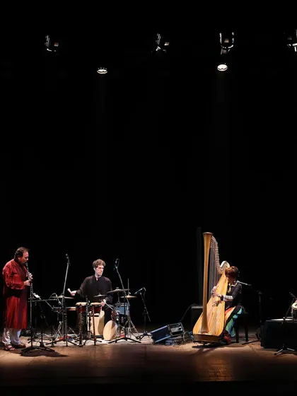 A magical night on stage at the Royal Opera House for a 'Jazz meets Kathak' concert. Sharing the stage with a jazz harp, woodwinds, and percussionists is a perfect example of the cross-cultural musical conversations I love to create.