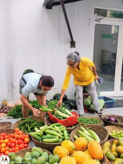 Customers carefully selecting fresh vegetables like ridge gourd and cucumber from a wide assortment.