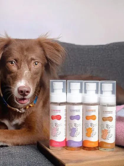 Here’s the lovely Simi posing like a pro for Furrfresh pet perfumes. I specialize in creating clean, engaging product photography that places your items and the adorable pet model in the perfect light.