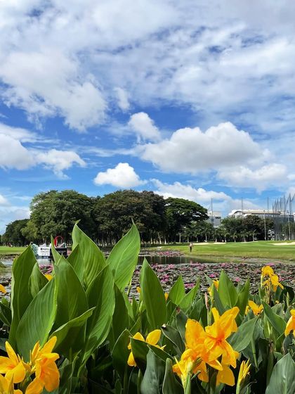 The vibrant flora around the course in full bloom. The natural beauty of these golf courses in Bangalore adds another layer of enjoyment to our lessons.
