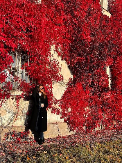 I found this incredible wall of red ivy while traveling in Poland. Nature is sometimes the most beautiful backdrop.