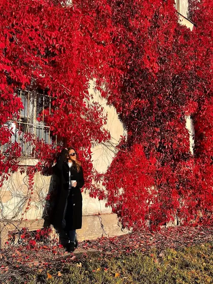I found this incredible wall of red ivy while traveling in Poland. Nature is sometimes the most beautiful backdrop.