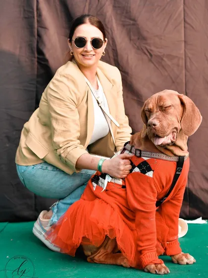 This dog's expression is everything. Dressed in a fancy orange outfit, she looks so calm and content with her owner. I always look for these unique expressions that give you a glimpse into a pet's soul.