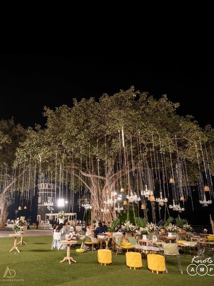 Royal Indian Heritage photo 18