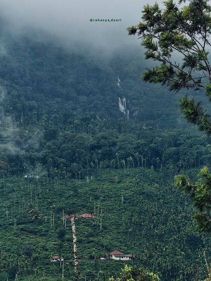A serene view of the Malenadu region, with misty mountains and dense areca nut plantations creating a tranquil scene.