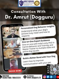 Dog Behavior & Owner Consultation