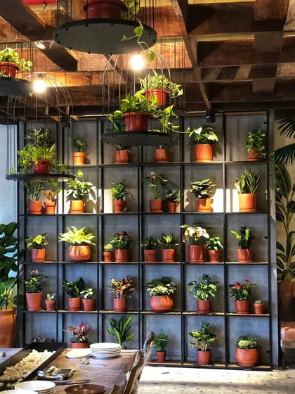 A sneak peek of an epic wall garden from a restaurant we designed in Lucknow. This vertical garden, filled with small terracotta pots, creates a stunning, earthy feature wall.