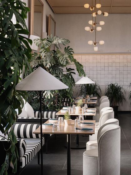 The seating along the wall at Brassa combines striped banquettes with clean, modern chairs. The space is filled with lush monstera plants, enhancing the restaurant's fresh, botanical theme.