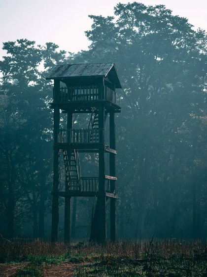 A watchtower standing in the misty forest of Bardiya National Park, Nepal, creating a sense of mystery and solitude.