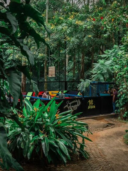 A peek at our trampoline park, hidden away on a path surrounded by lush tropical foliage.