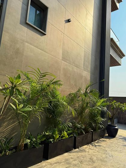 Plant Spotlights & Inspiration photo 7