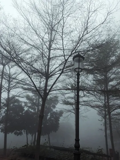 The bare branches of a tree and a classic lamppost stand against a foggy backdrop. This image has a timeless, almost cinematic quality, capturing the quiet beauty of a winter day.