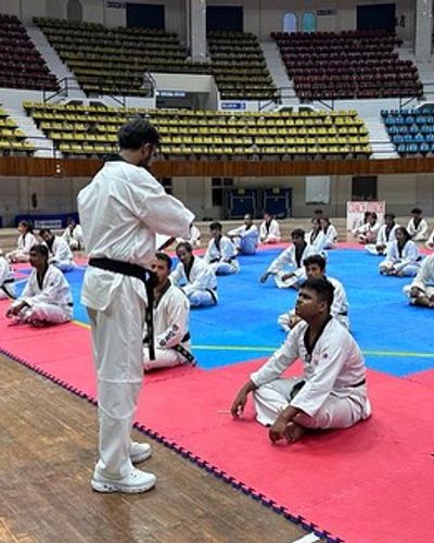Taekwondo Referee & Officials Development