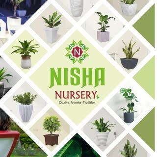 Nisha Nursery