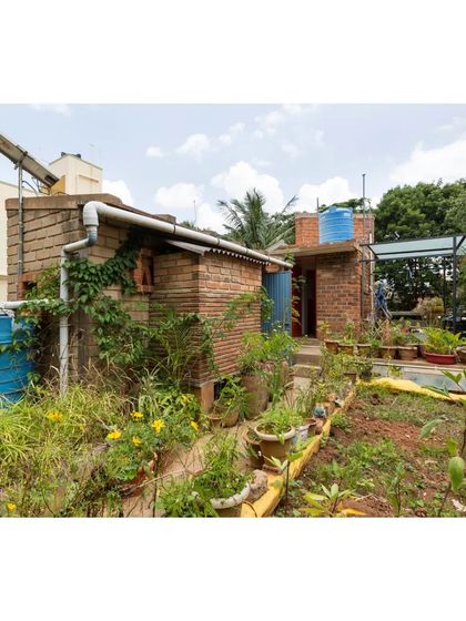 The rooftop of the Sans Souci Residence, which functions as a productive garden. Here we grow rice, millets, and vegetables, irrigated with treated greywater. This green roof also provides excellent insulation, keeping the house cool naturally.