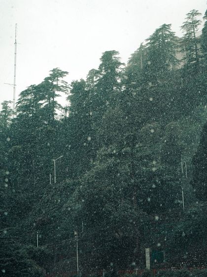 Garima Bhaskar - Photography Services Travel Diaries: Global & Local photo 114