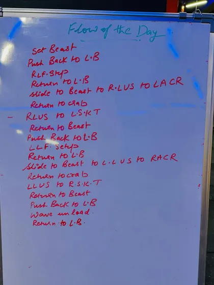 This is the "Flow of the Day" for one of our Animal Flow classes. Each session involves a unique sequence of movements like the "Set Beast" and "Crab" to build strength and precision.