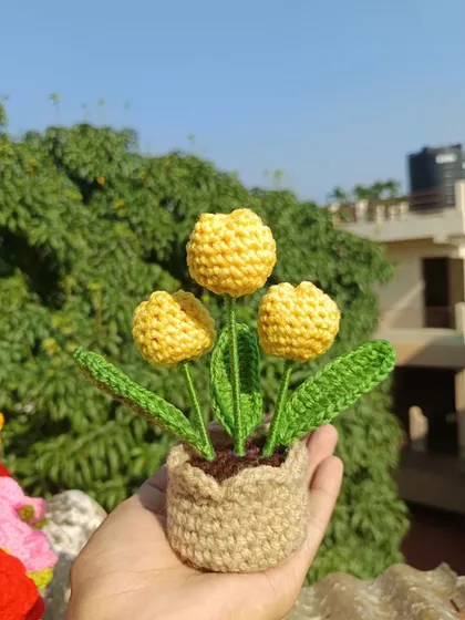 A pot with three yellow tulips, a cheerful addition to any desk or shelf.