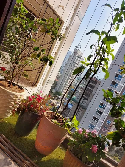This balcony garden is designed with a mix of plant heights and pot styles, set against invisible grills to maintain an open, airy feel.