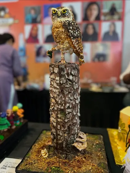 Here is my award-winning owl cake on display at the Cakeology 2024 fest. Seeing it appreciated by so many people was a truly heartwarming experience.