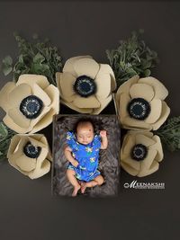 Newborn & Baby Photography